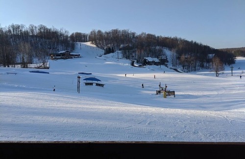 Upson Condo | Chateau On The Mountain! Ski OUT at WhiteCap Ski Resort Mountain Meadow 6