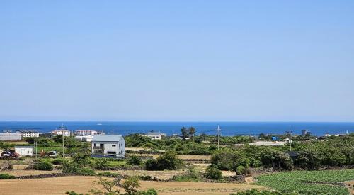 Hallim House | Check-in Jeju Private Full Stay