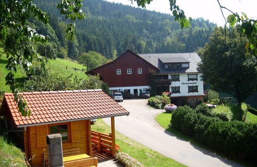 Oppenau Apartment | Christianshof - 'Apartment' with Mountain View, Shared Garden and Wi-Fi