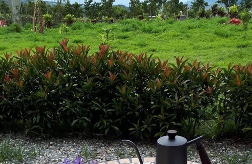 Beinan House | Chulu Manor Hotel