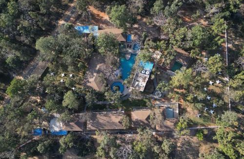 Mandla Resort | Citrus Prime Kanha Resort and Villas