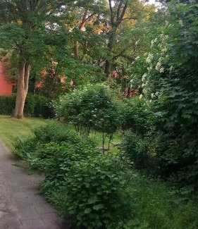 Duissern Apartment | City Apartment Duisburg 2#Netflix &Wlan &Kingsize Bett & Kaffee Maschine & Zentral & 500m Innenhafen & 2 min U Bahn