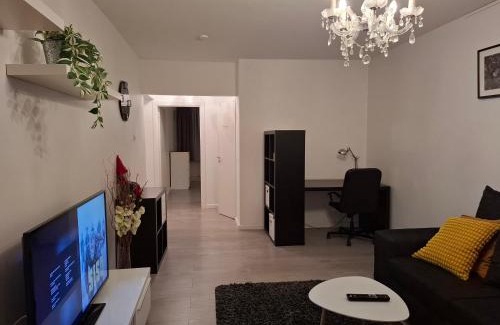 Kuopio Apartment | City Apartment Snellmaninkatu 22 A, yksityinen pistokkeellinen paikoitus sisältyy hintaan