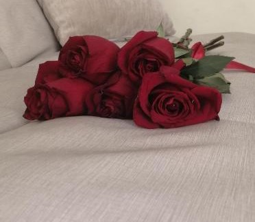 Omsk Apartment | City Center Маяковского 97