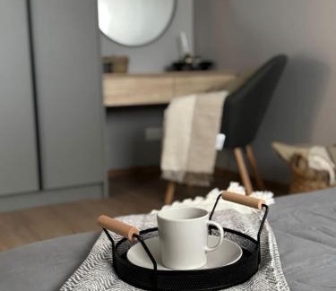 Jelgava Apartment | City Center Cozy Apartment