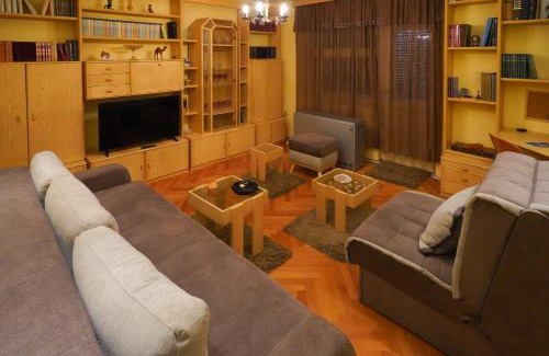 Zajecar Apartment | City center