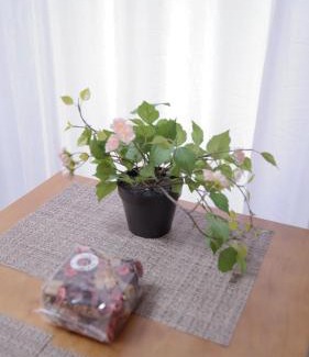 Setagaya Apartment | City Pal Sakurashinmachi - Vacation STAY 17753