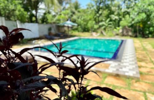 Udawalawa House | City View Safari Resort
