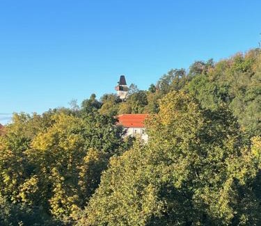 Geidorf Apartment | Cityview Apartment Graz