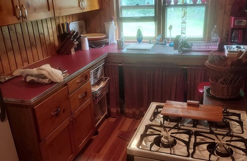 Grand Marais Cabin | Classic Rustic 2-bedroom secluded cabin on Devil Track Lake - Grand Marais