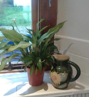 Newcastle Villa | Coastguard Cottage