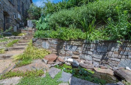 Downtown Asheville Apartment | Cobalt Corner Dog Friendly Park Free Onsite