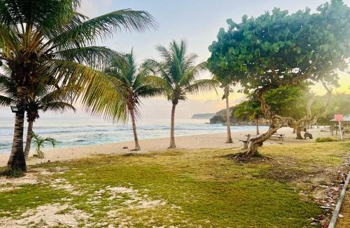 Anse-Bertrand House | Cocon des îles