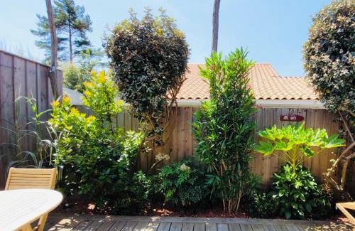 Ares House | Cocon entre presqu'île du Cap Ferret et plages océanes - terrasse - 1 vélo gratuit