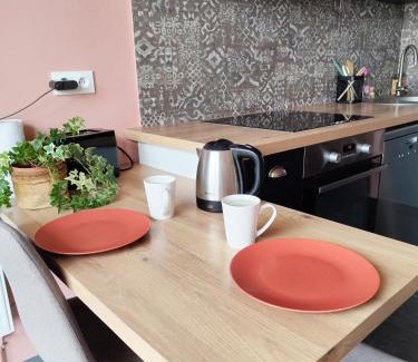 Perralliere Apartment | Cocon Urbain vue et calme