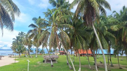 Carti Tupile Cabin | Coconut Paradise