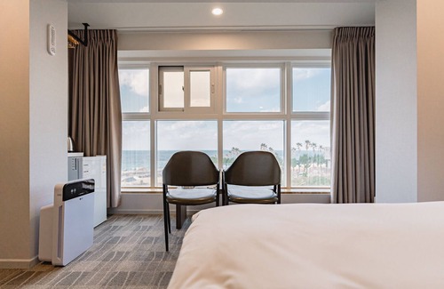 Aewol Hotel | Cocoon Hotel