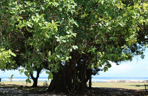 West Island House | Cocos Escape to Cocos Keeling Islands WA