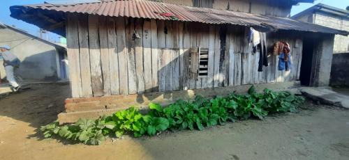 Nepal House | Coffee Farmstay in Tamang,Chepang Village Parewakot ,Chitwan