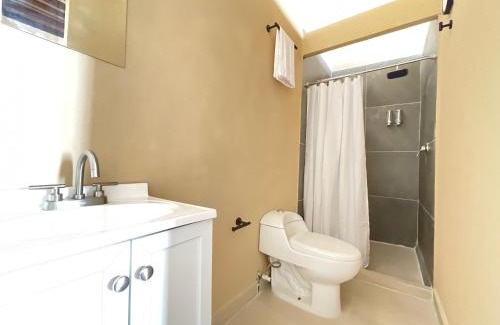 Historic Center Hotel | Colmena Hotel CDMX Centro