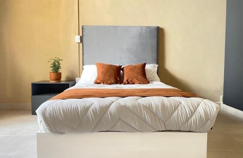Historic Center Hotel | Colmena Hotel CDMX Centro