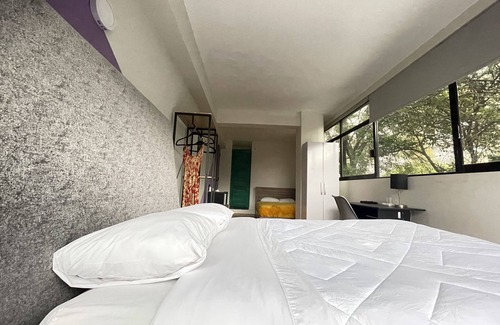 Roma Sur House | Colmena Hotel CDMX Tonala