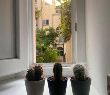 Celio Apartment | Colosseo Mon Amour
