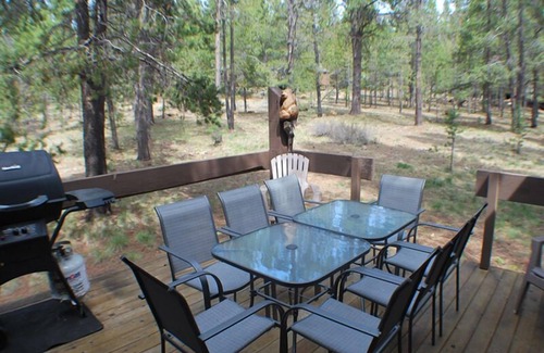 Overlook Park House | Come Enjoy This Cabin In The Woods, Hot Tub & Pet Friendly, 8 SHARC PASSES!