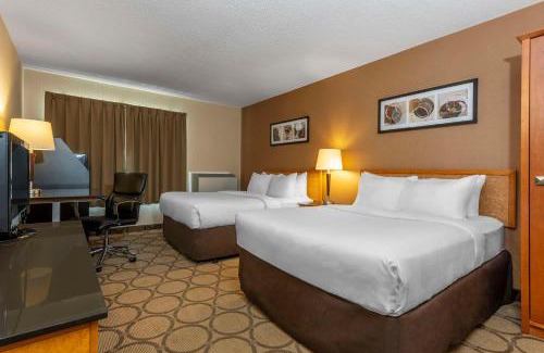 Baie Comeau Hotel | Comfort Inn Baie-Comeau