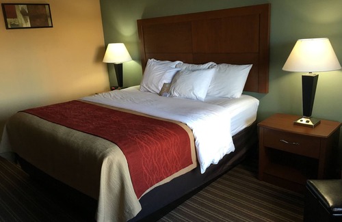 Jackson Hotel | Comfort Inn Jackson I-40