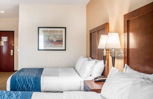 Hamburg Hotel | Comfort Inn & Suites Hamburg - Buffalo South