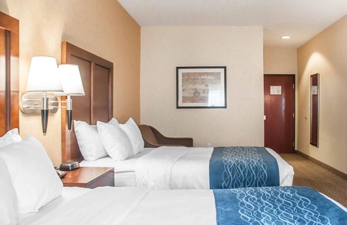 Hamburg Hotel | Comfort Inn & Suites Hamburg - Buffalo South
