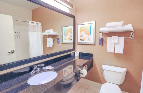 Houston Hotel | Comfort Inn & Suites Houston North - Spring
