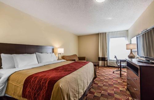 Jasper Hotel | Comfort Inn & Suites Jasper Hwy 78 West