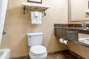 Porter Hotel | Comfort Inn & Suites Porter near Indiana Dunes