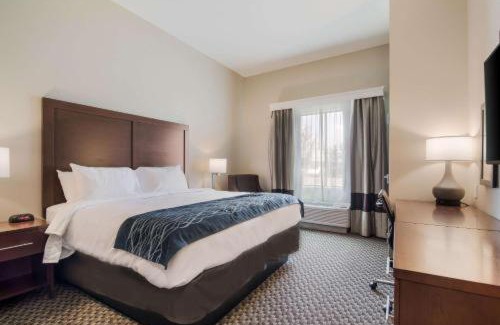 Rock Hill Hotel | Comfort Inn & Suites Rock Hill Northeast
