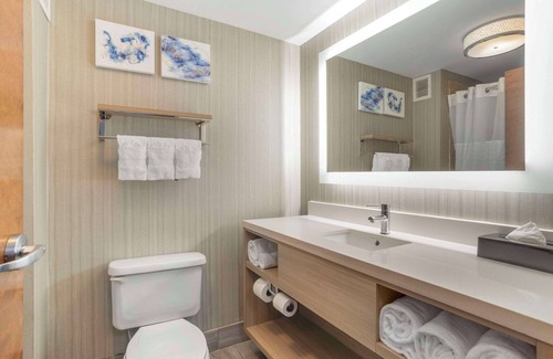 Arcadia Hotel | Comfort Suites At WestGate Mall