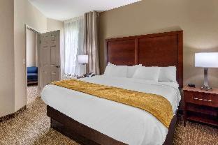 Clarksville Hotel | Comfort Suites Clarksville near Governors Square Mall