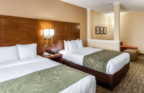 Cotulla Hotel | Comfort Suites Cotulla near I-35