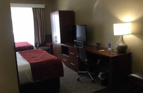 Effingham Hotel | Comfort Suites Effingham Central
