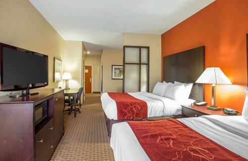 Brunswick Hotel | Comfort Suites Golden Isles Gateway