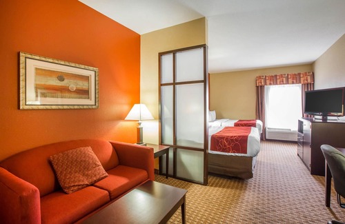 Brunswick Hotel | Comfort Suites Golden Isles Gateway