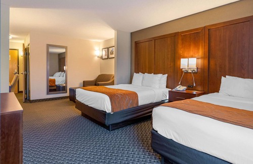 South Haven Hotel | Comfort Suites South Haven near I-96