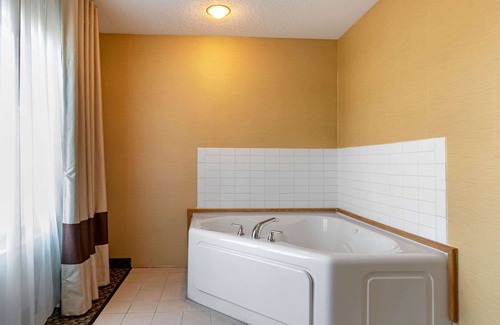 South Haven Hotel | Comfort Suites South Haven near I-96