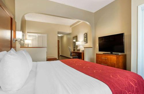 Tallahassee Hotel | Comfort Suites Tallahassee Capitol - University Area