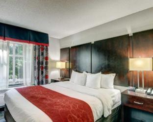 Williamsburg Hotel | Comfort Suites Williamsburg Historic Area