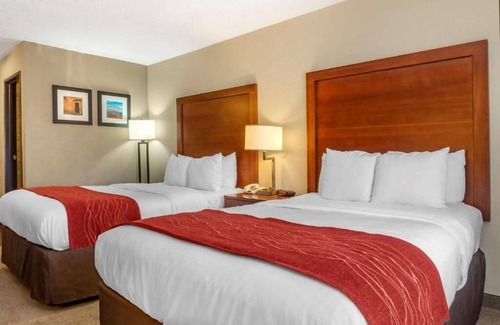 Albuquerque Hotel | Comfortable Albuquerque Hotel Rooms Near Airport with Indoor Pool - 4 Units
