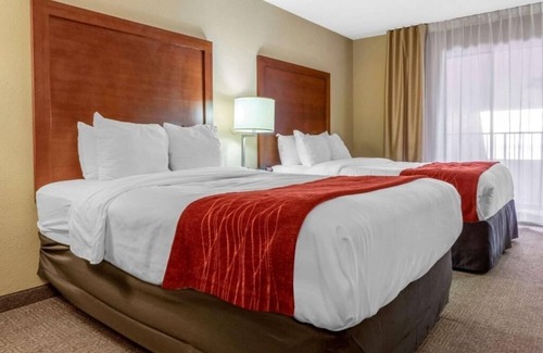 Albuquerque Hotel | Comfortable Albuquerque Hotel Rooms Near Airport with Indoor Pool - 4 Units