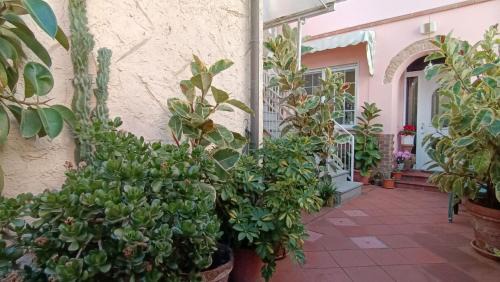 Torre del Lago Puccini Apartment | Comfy Flat by Belcanto Villas