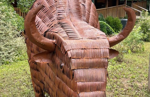 Kingston Cabin | Comfy rustic cabin 1/2 mile from Lake Texoma is ready and fully stocked for 8+!
